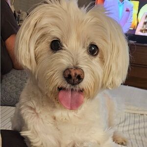 Meet your Posher, Norma